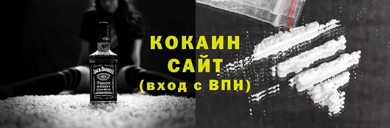 где можно купить   Йошкар-Ола  COCAIN Fish Scale 